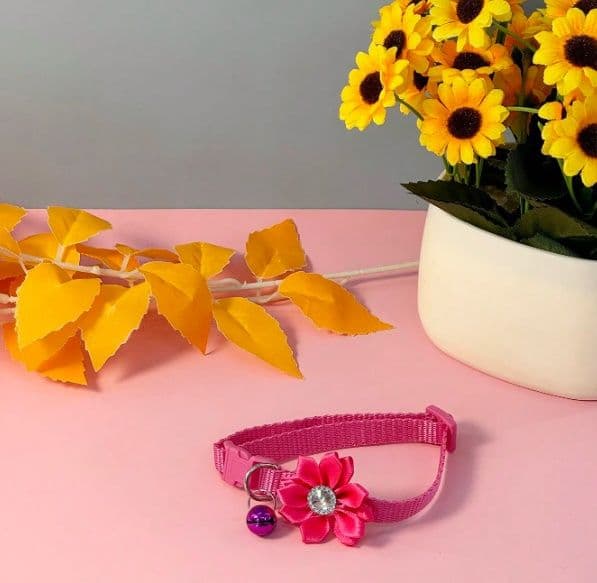 Cat Collar With Bell & Petal Decorations- Pink