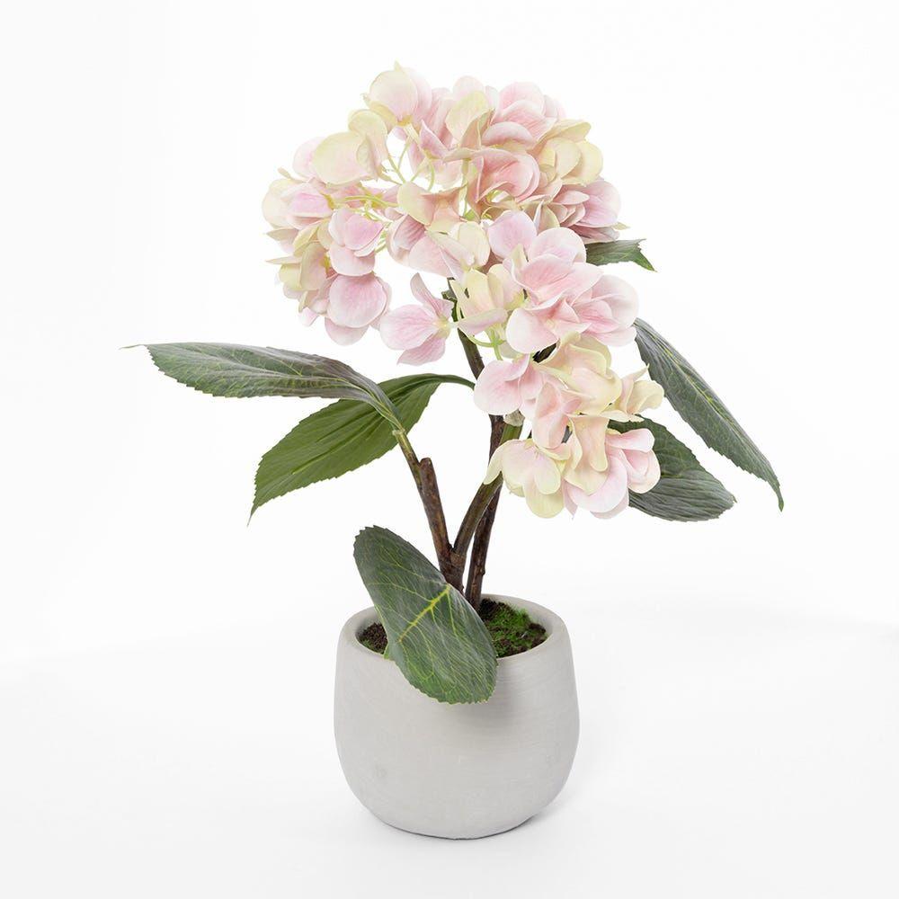 Hydrangea In Ceramic Pot, Light Pink & Green - 20X31 Cm