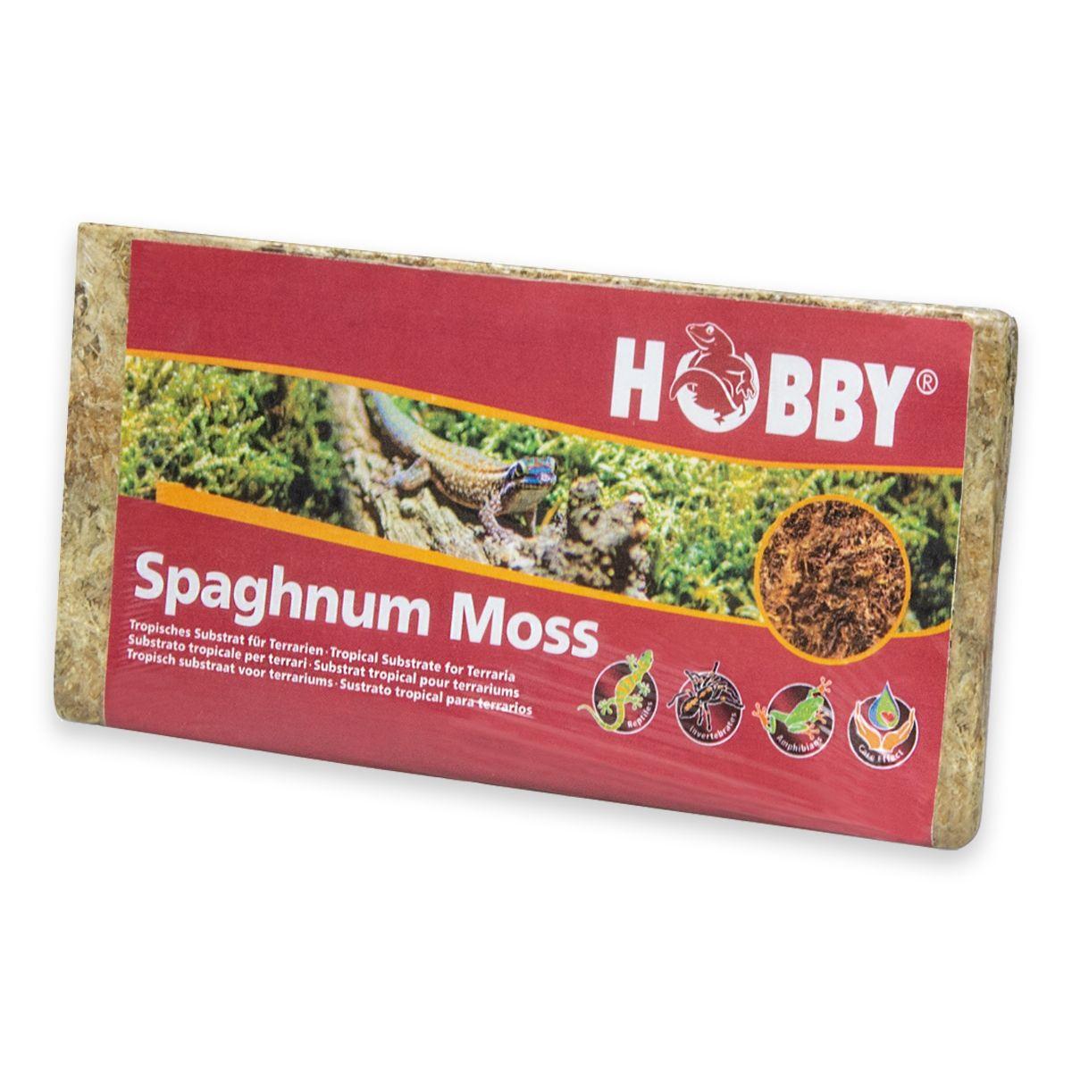 Spaghnum Moss 100G