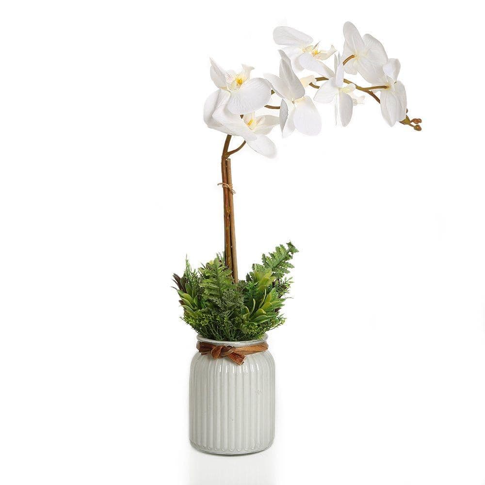 Orchid With Mix Grass Garden In White Glass Vase Â€“ 51 Cms