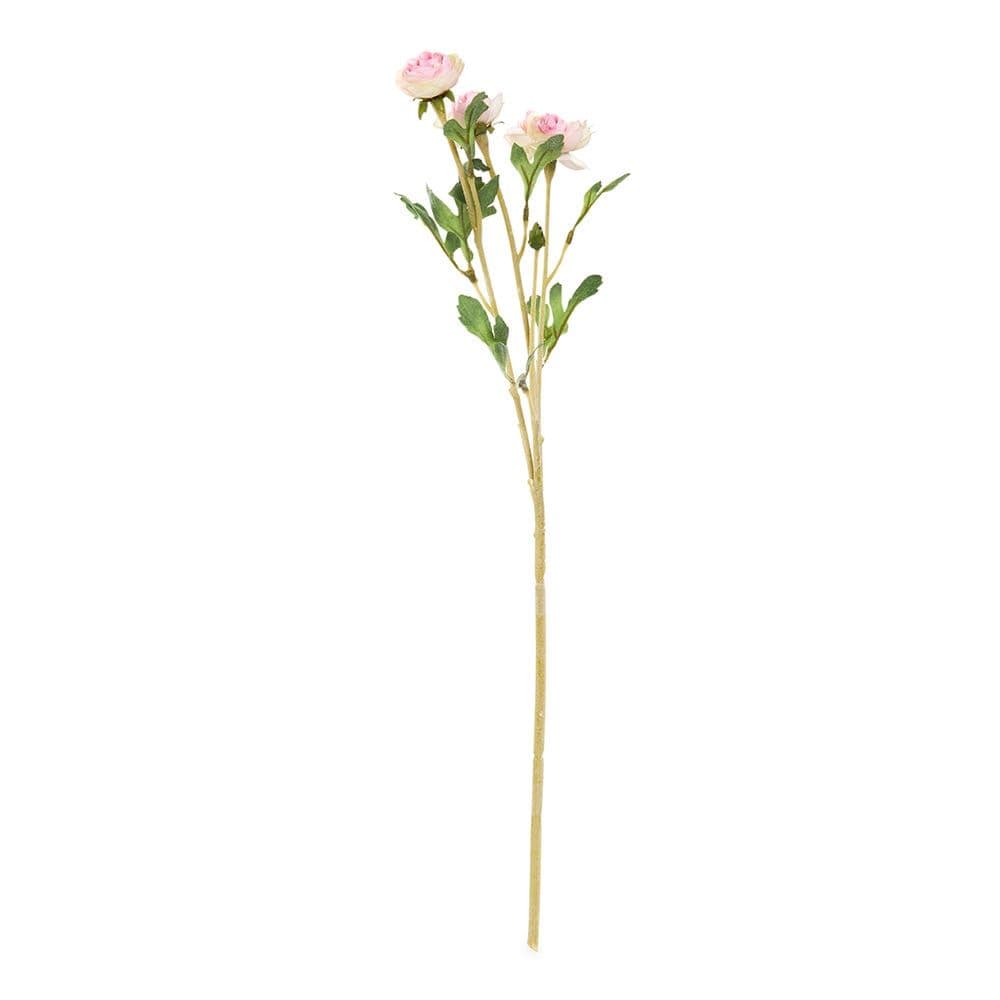 Mini Ranunculus Spray, Pink - 50 cm