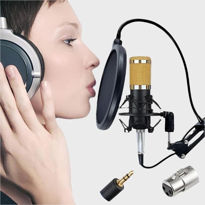 Professional Broadcasting And Recording Condenser Microphone