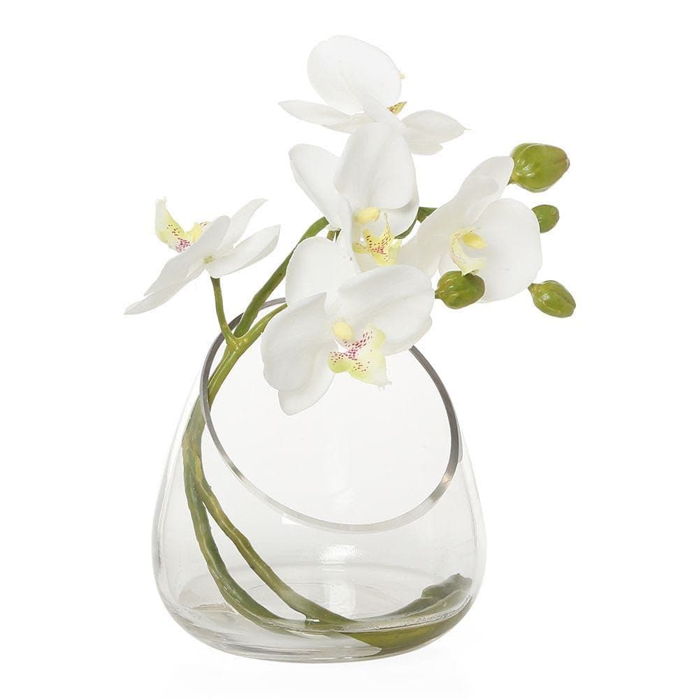 Artificial Phalaenopsis In Glass Vase, White - 21 Cms