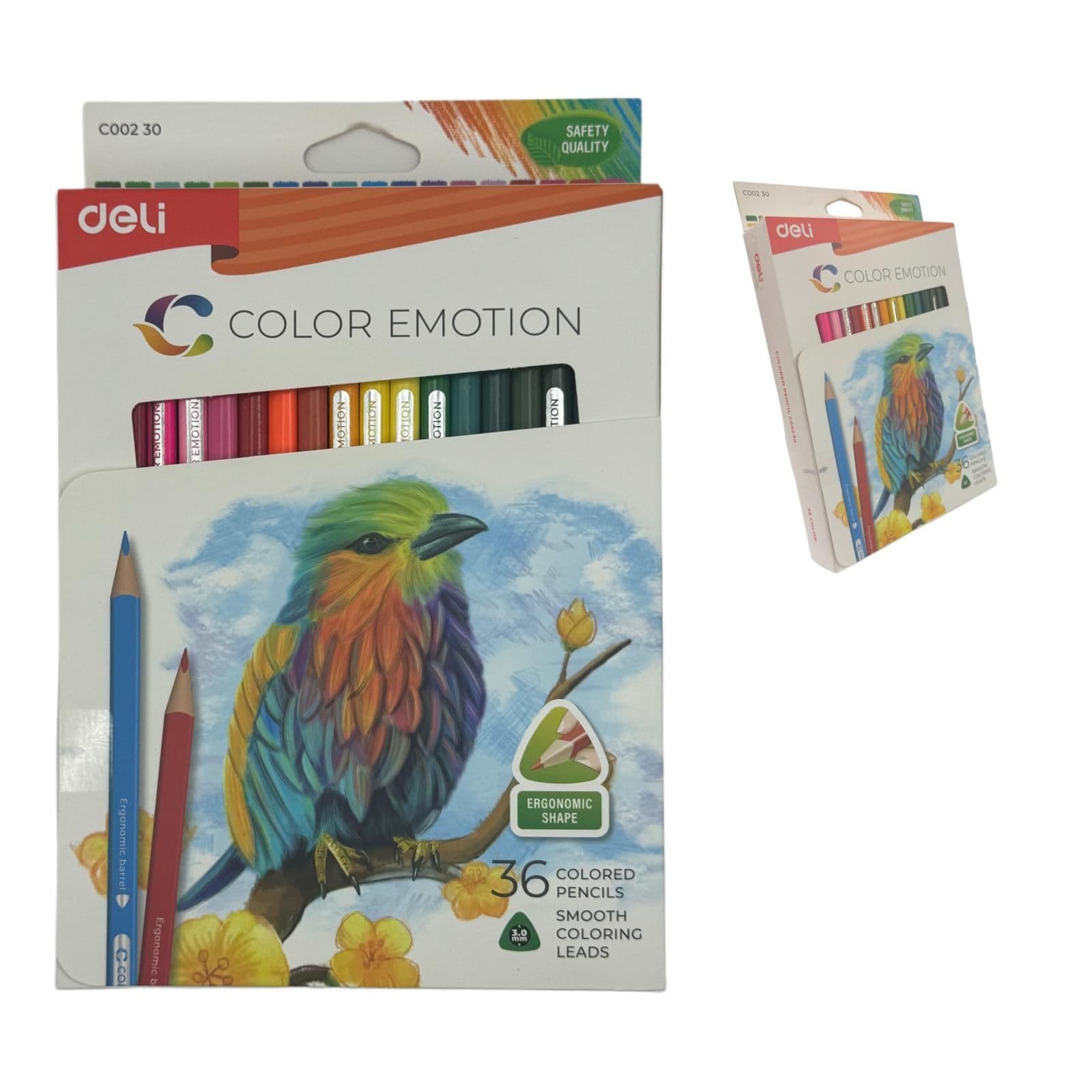 Deli Color Pencil Set (36 Pencils)
