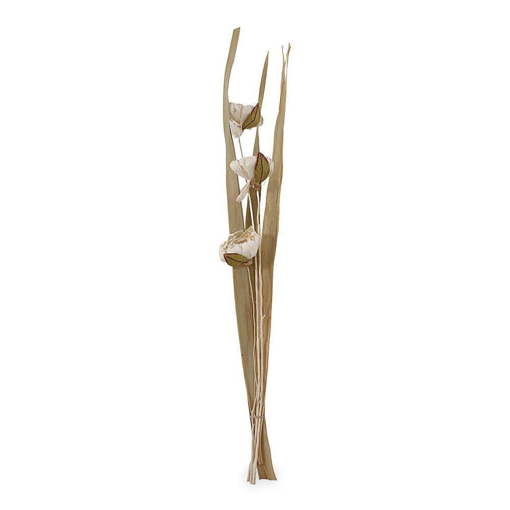 Deco Kadam Flower Stick, Natural - 100 cm