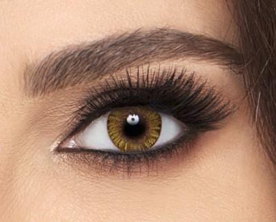 Freshlook Lenses Color Hazel Lenses Daily