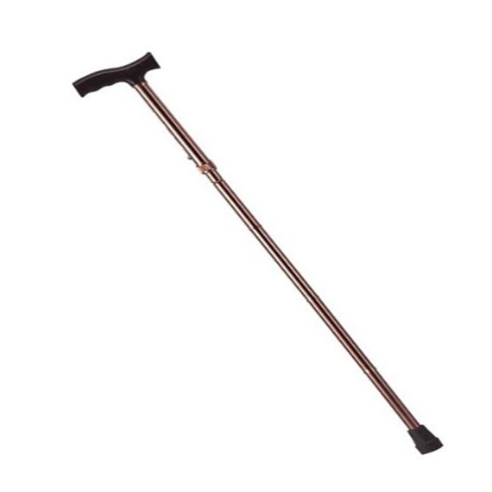 Ca833L5-Walking Stick(18600)