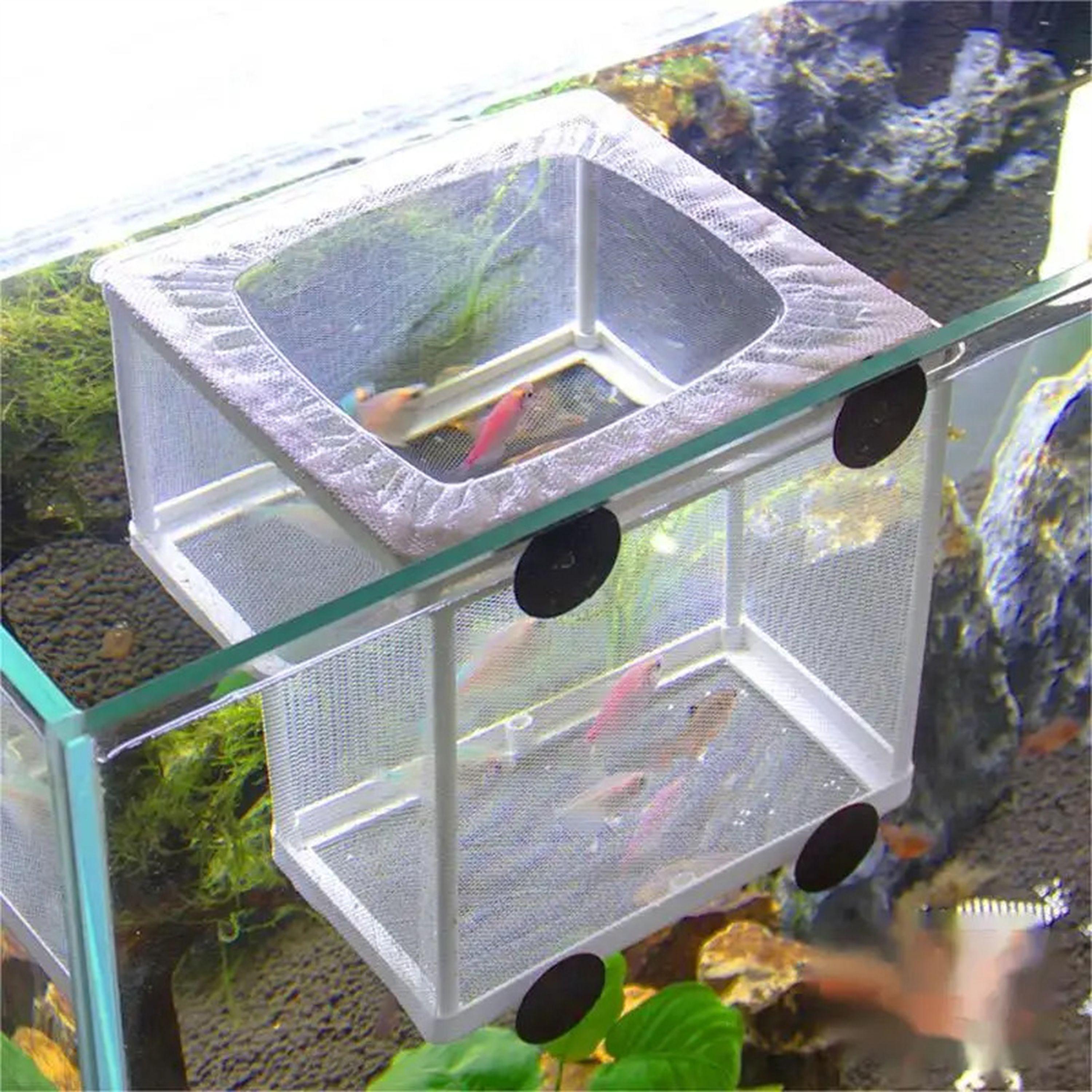 Fish Breeding Insulation Box