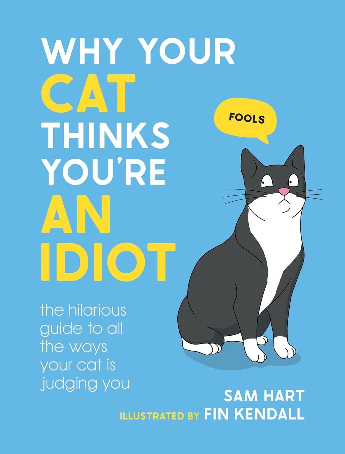 Why Your Cat Thinks You'Re An Idiot