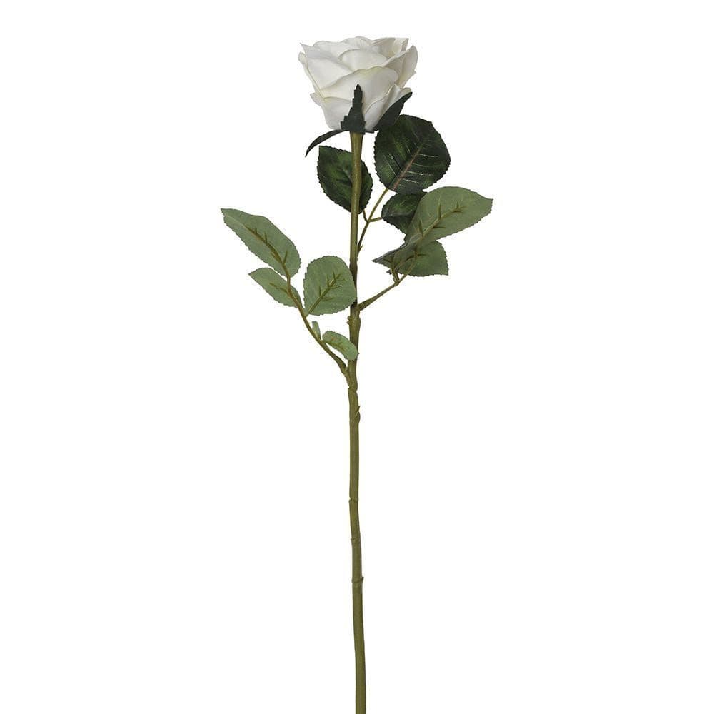 Rose Romance Single Stem, White & Cream Â€“ 57 Cms