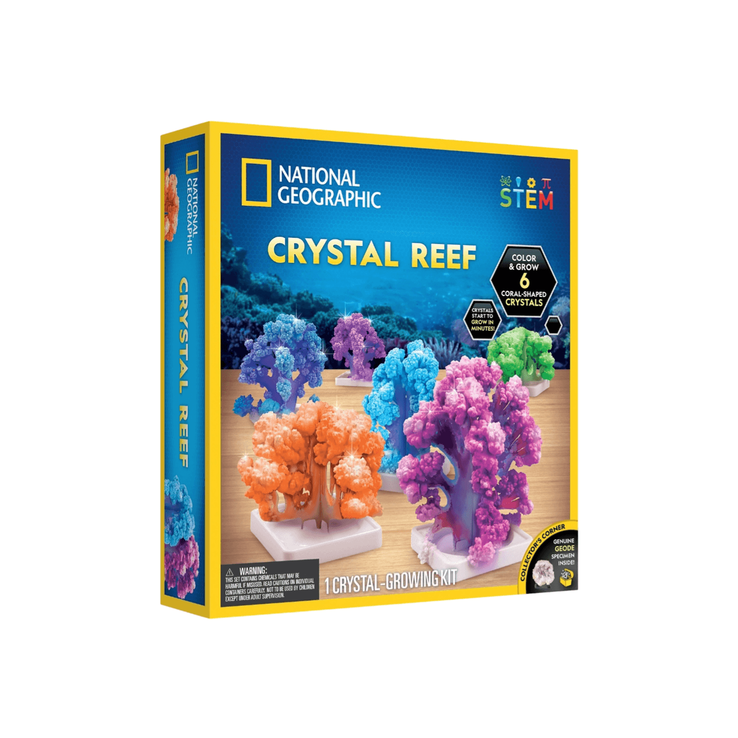 National Geographic Crystal Reef Coral Growing Lab