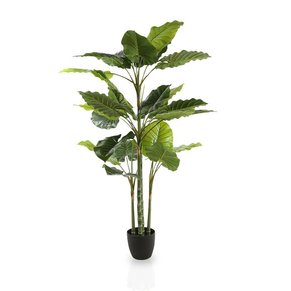 Regular Caladium Artificial Tree (Green, 152.4 Cms)