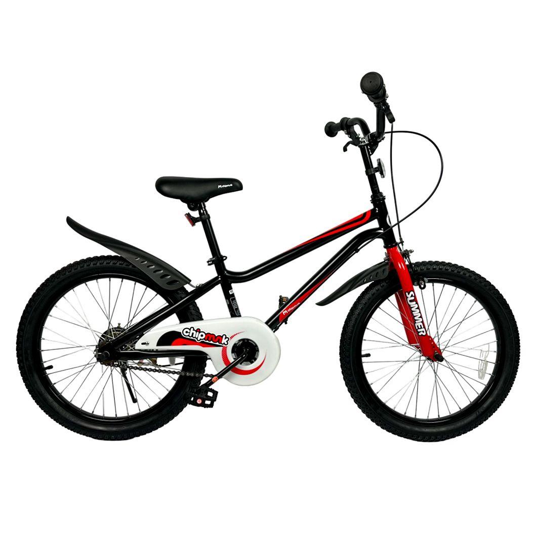 Royalbaby Chipmunk Mk Boys' Bike (20 In, Black)