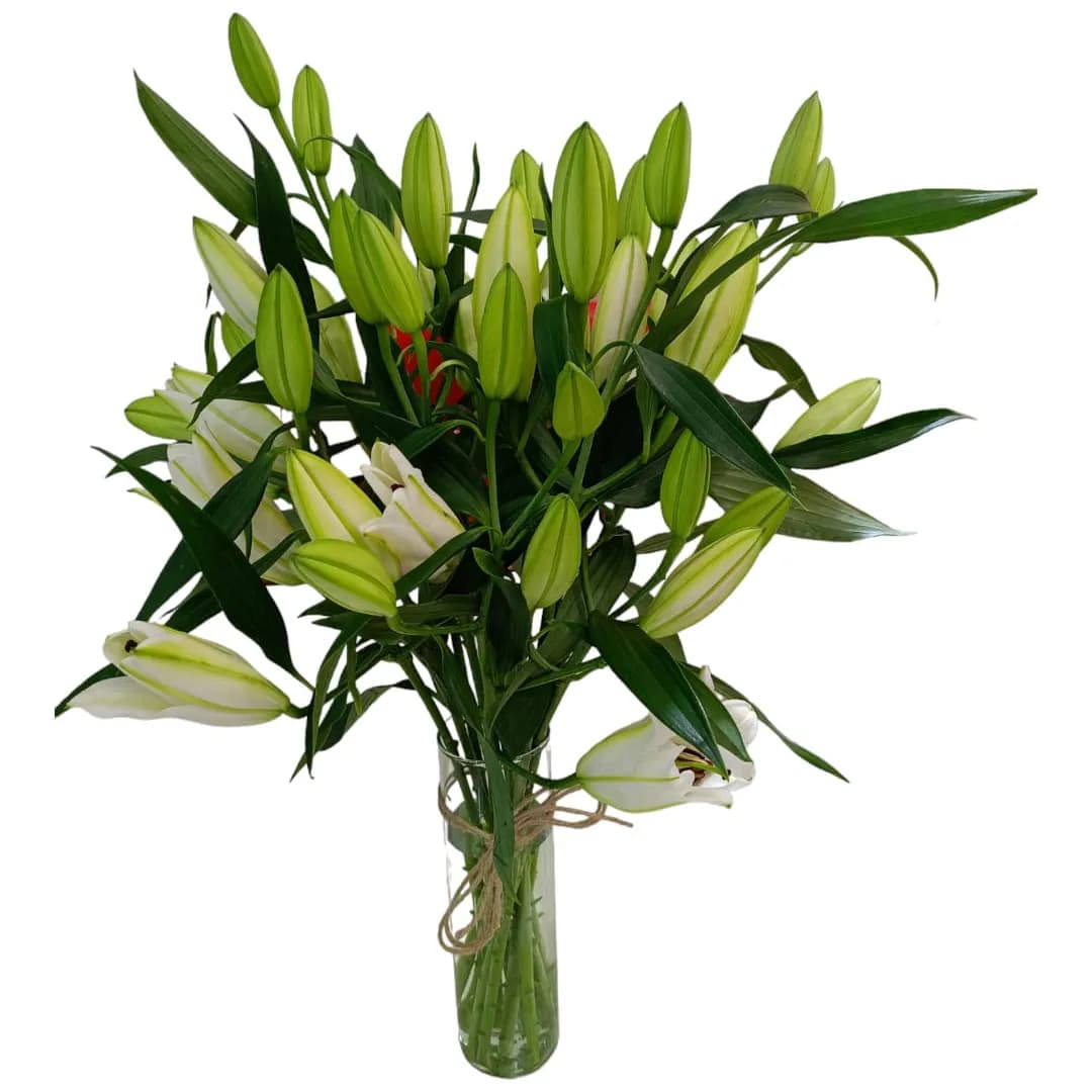 Lilies In Vase