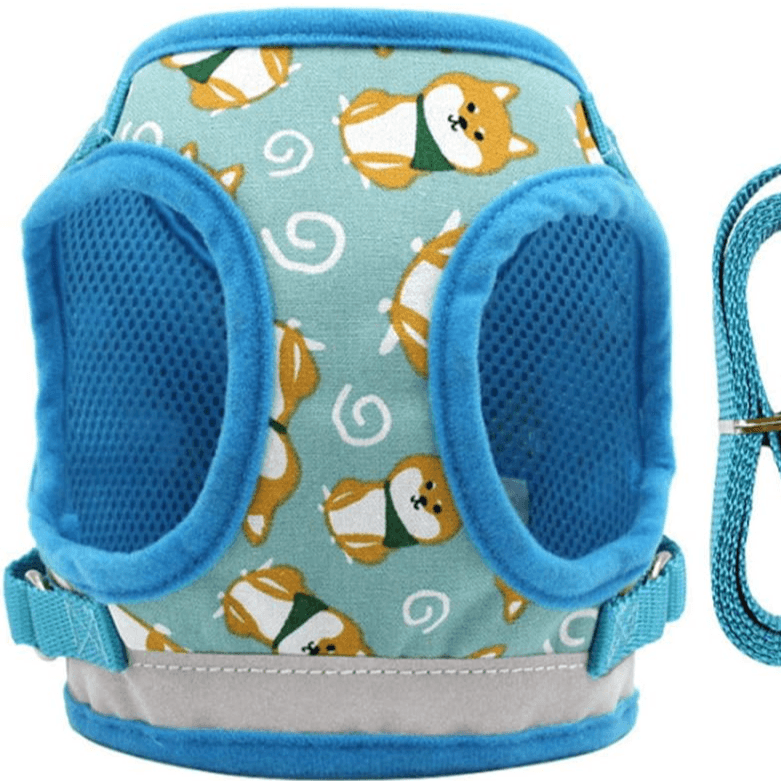 Reflective Dog Harness And Leash