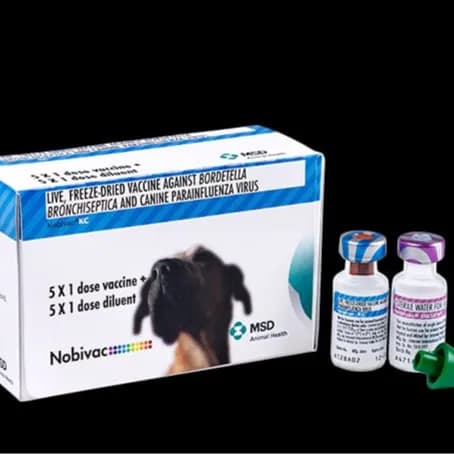 Kennel Cough Vaccine (Nobivac-C)