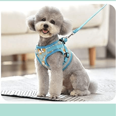 Reflective Dog Harness And Leash