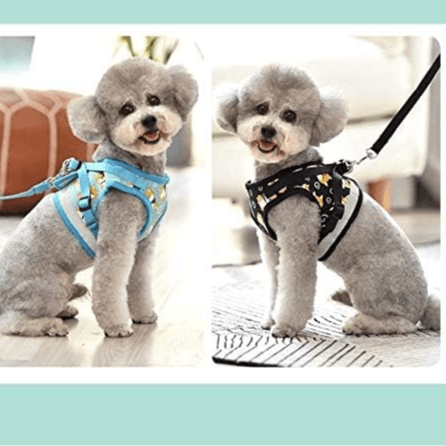 Reflective Dog Harness And Leash