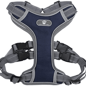 Adjustable Pet Harness