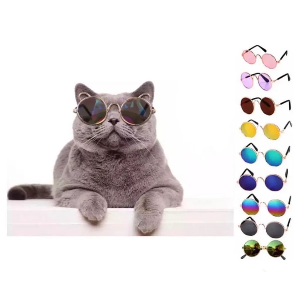 Sunglasses For Cats