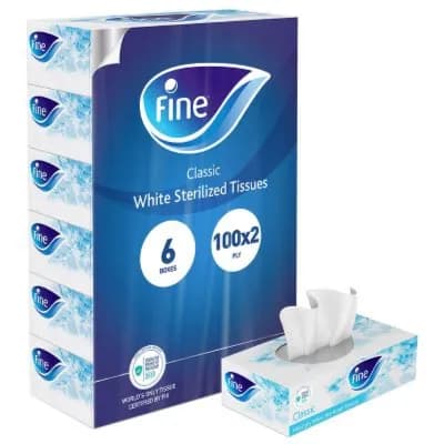 Fine Facial Tissue Classic 100*2Play