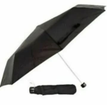 Umbrella Folding