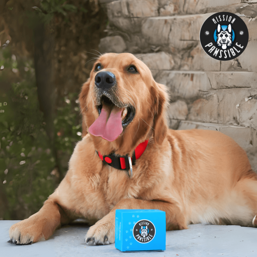 Small Bite Dog Training Treats 150 g
