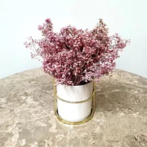 Arrangement Of Pink Gypsophillia In White Vase With Gold Handle