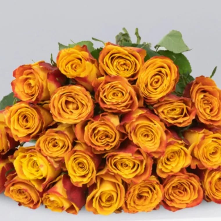 25 Orange Roses