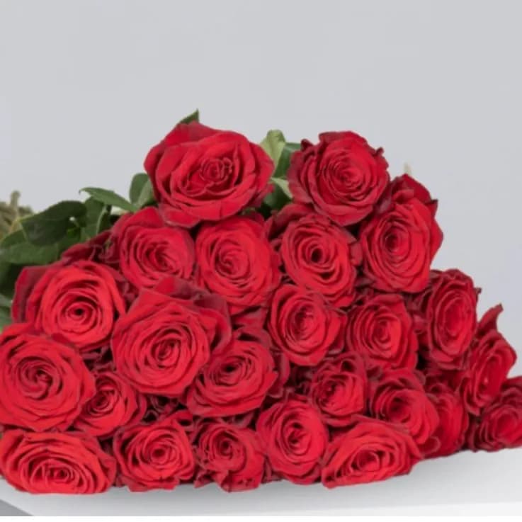 25 Red Roses