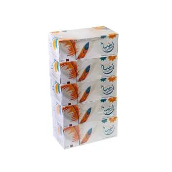 Facial Tissue Reesha 200sheet 2 Ply (1x5pc)