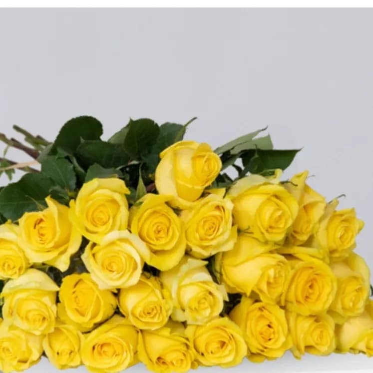 25 Yellow Roses