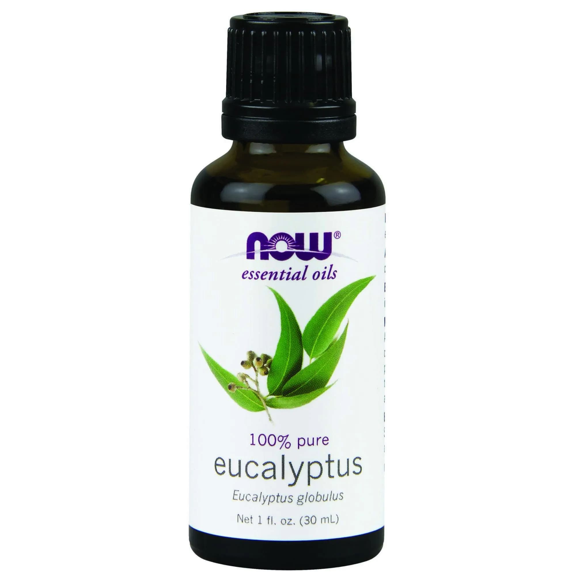 Now Eucalyptus Oil 30ml