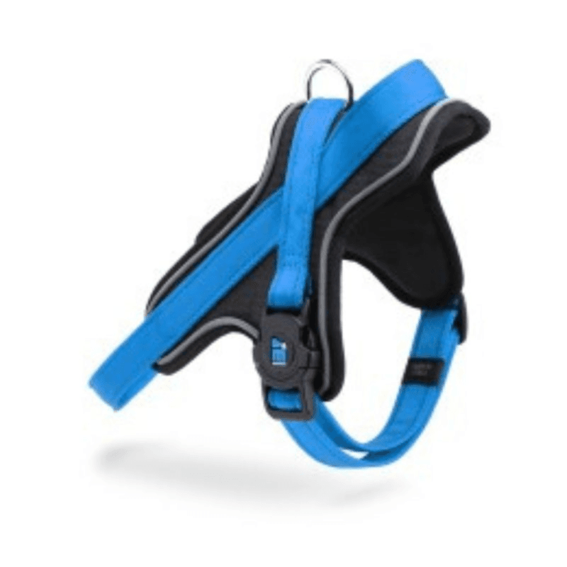 Myfamily Harness Blue Nylon - Xl - (Wxl - 2.8 X 70/90)--