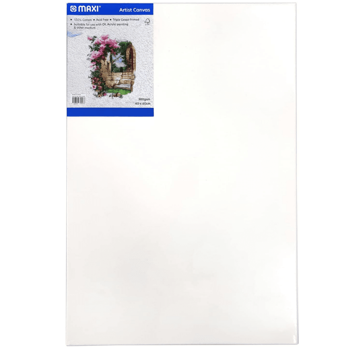 Maxi Artist Canvas 40x60cm Cvmi23