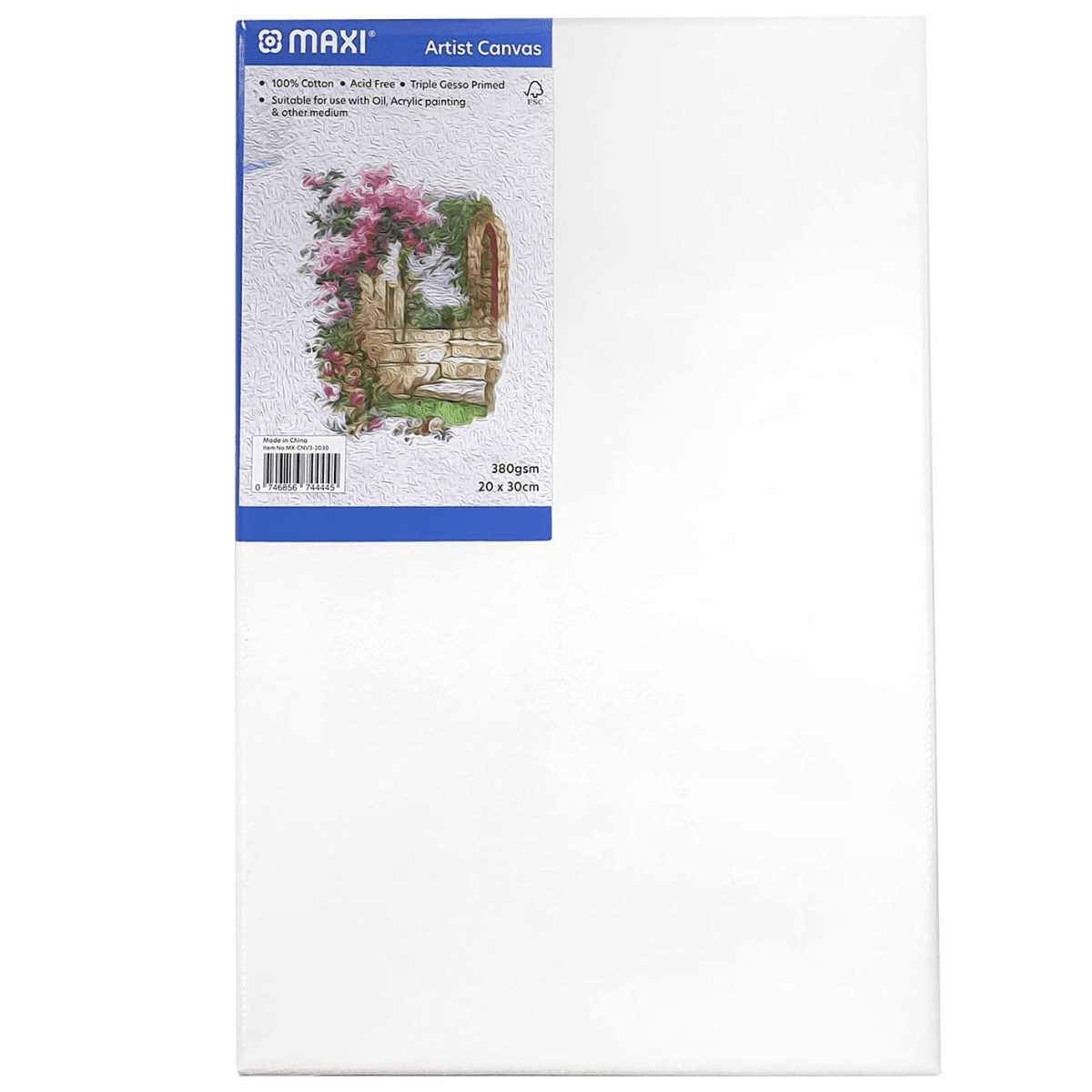 Maxi Artist Canvas 20x30cm Cvmi20
