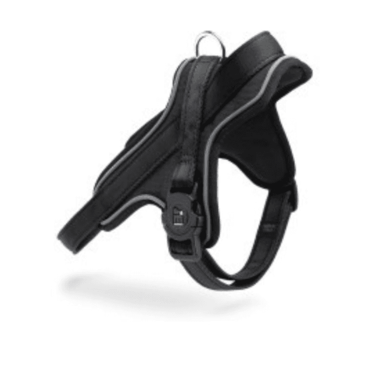 Harness Black Nylon - Sm - (Wxl - 2.2 X 40/50)--Myfamily