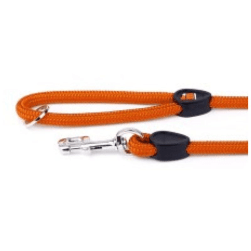 Myfamily Leash Orange Nylon - S - (Wxl - 0.8 X 180)--