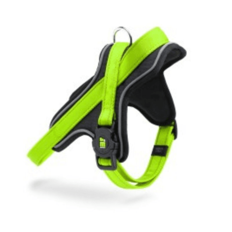 Myfamily Harness Green Nylon - Xl - (Wxl - 2.8 X 70/90)--