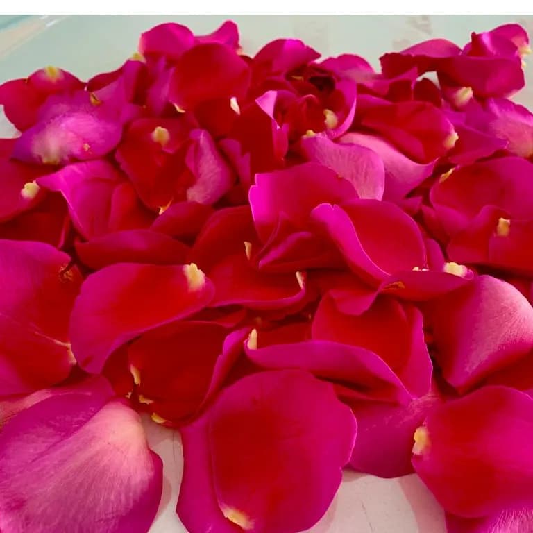 Fresh Flower Petals