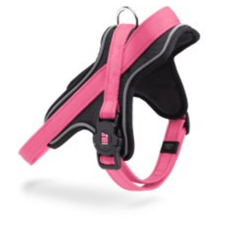 Myfamily C77Harness Pink Nylon - Xxl - (Wxl - 2.8 X 80/100)-