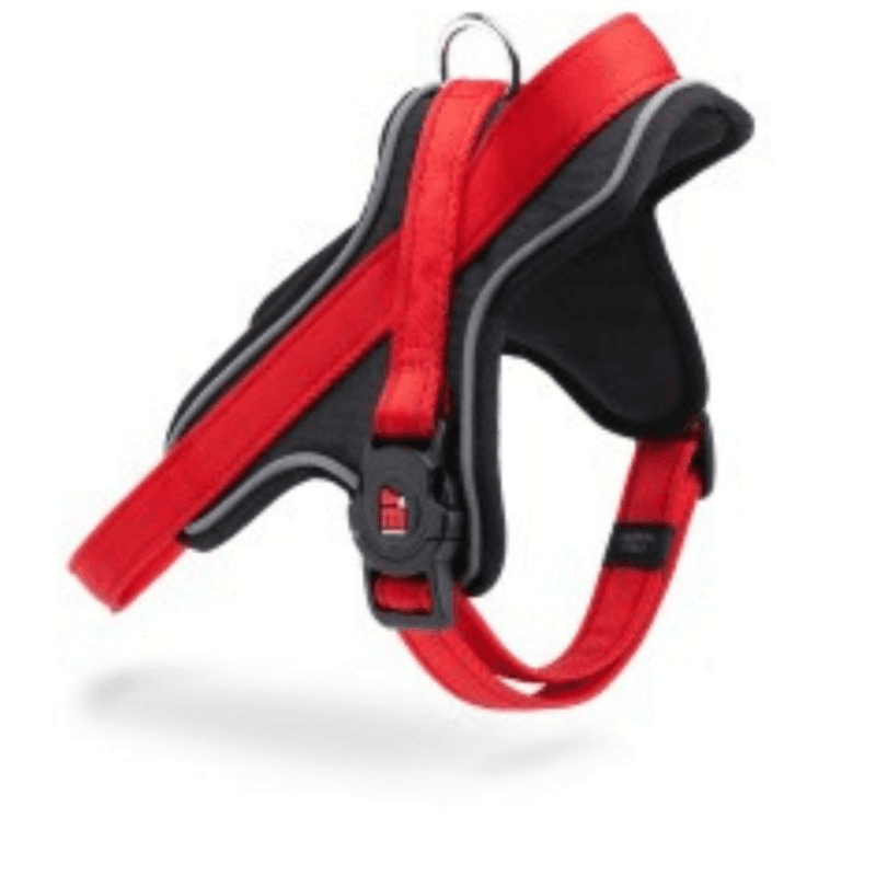 Myfamily Harness Red Nylon - Xxl - (Wxl - 2.8 X 80/100)