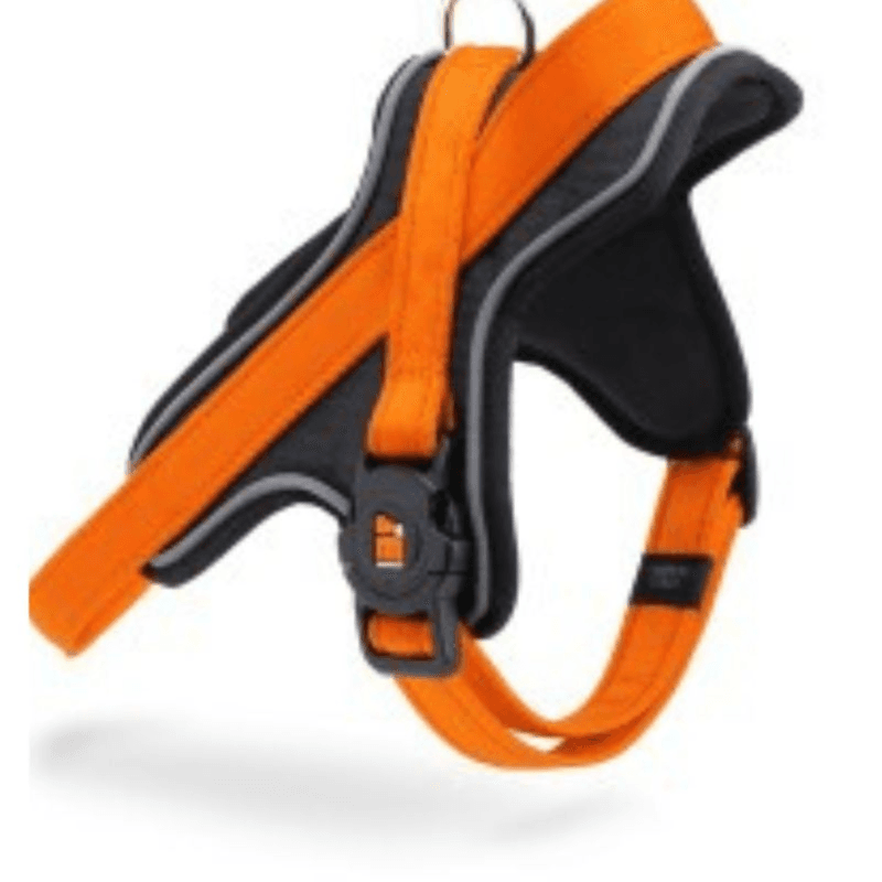 Myfamily Harness Orange Nylon- L - (Wxl - 2.2 X 60/80)--