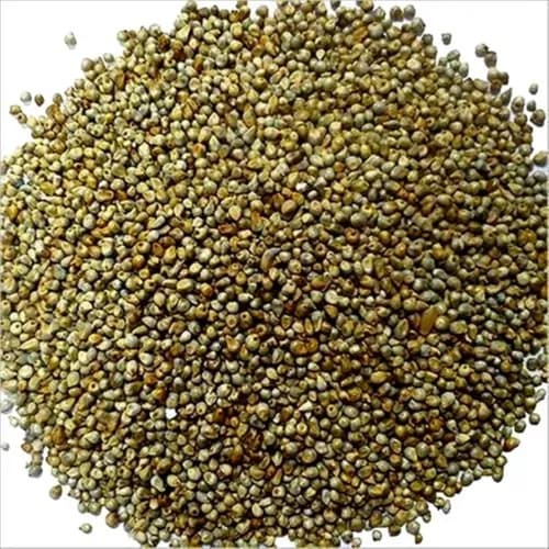 Cs Bajra Seed 500Gm