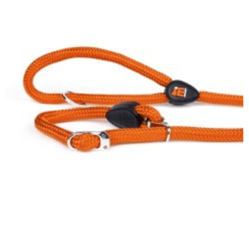 No Pull Leash Orange Nylon - S - (W- 0.8) - Myfamily