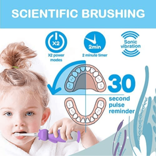 Brush Baby New Wildone Hippo Rechargeable Toothbrush (Buy 1 Get 1 Free)