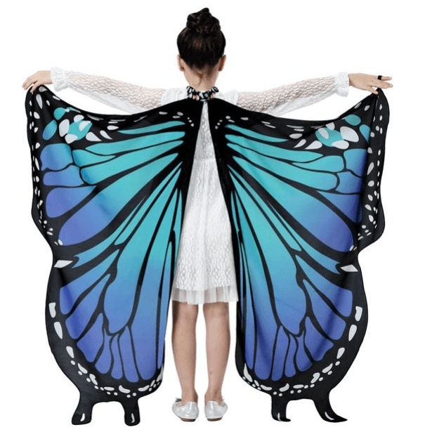 Butterfly Costume