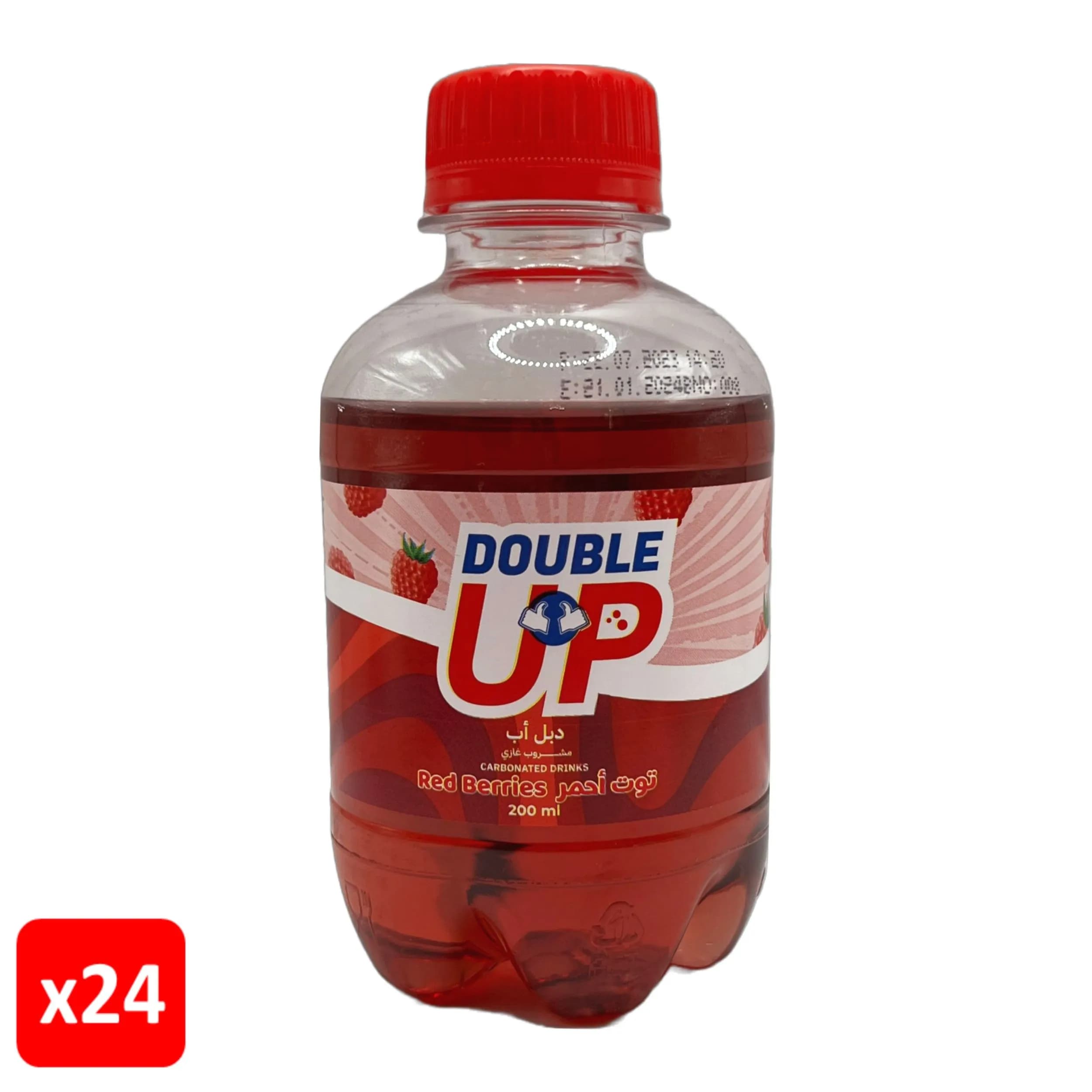 Double Up Red Berries 200ml*24