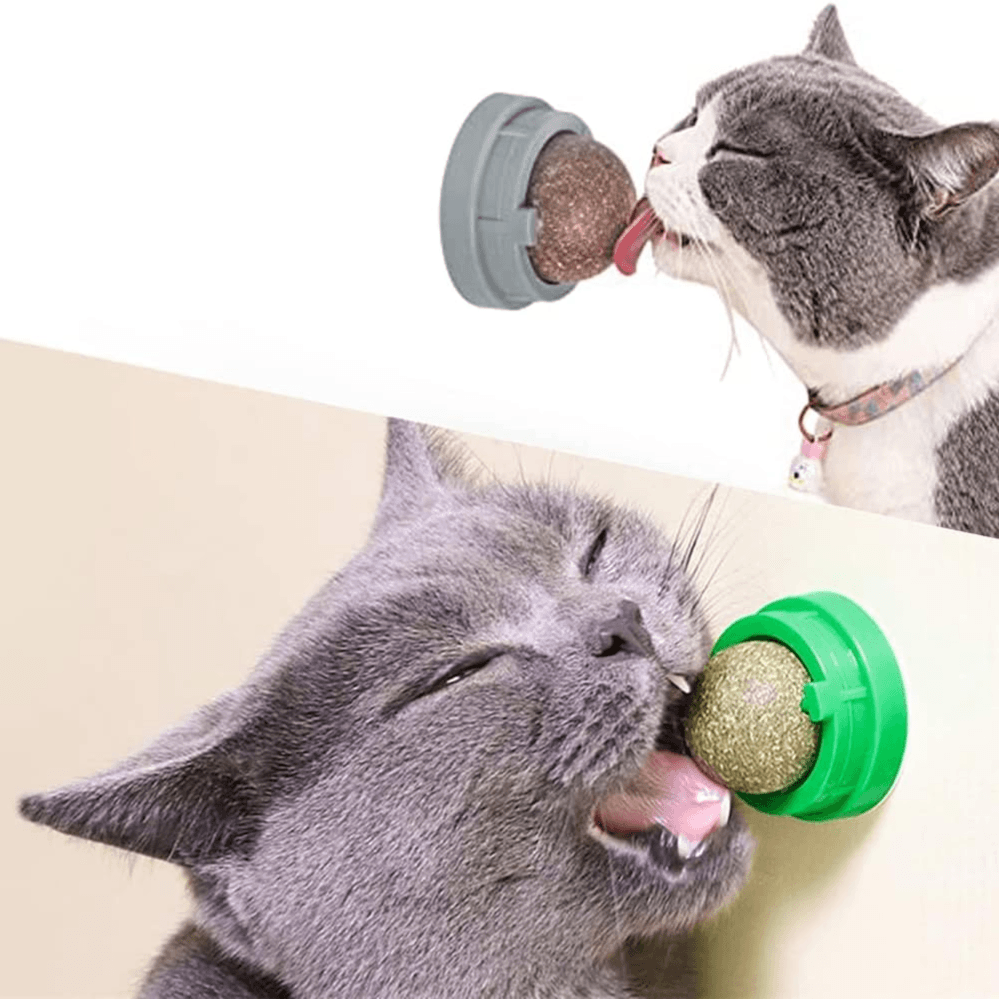 Catnip Ball for Cats