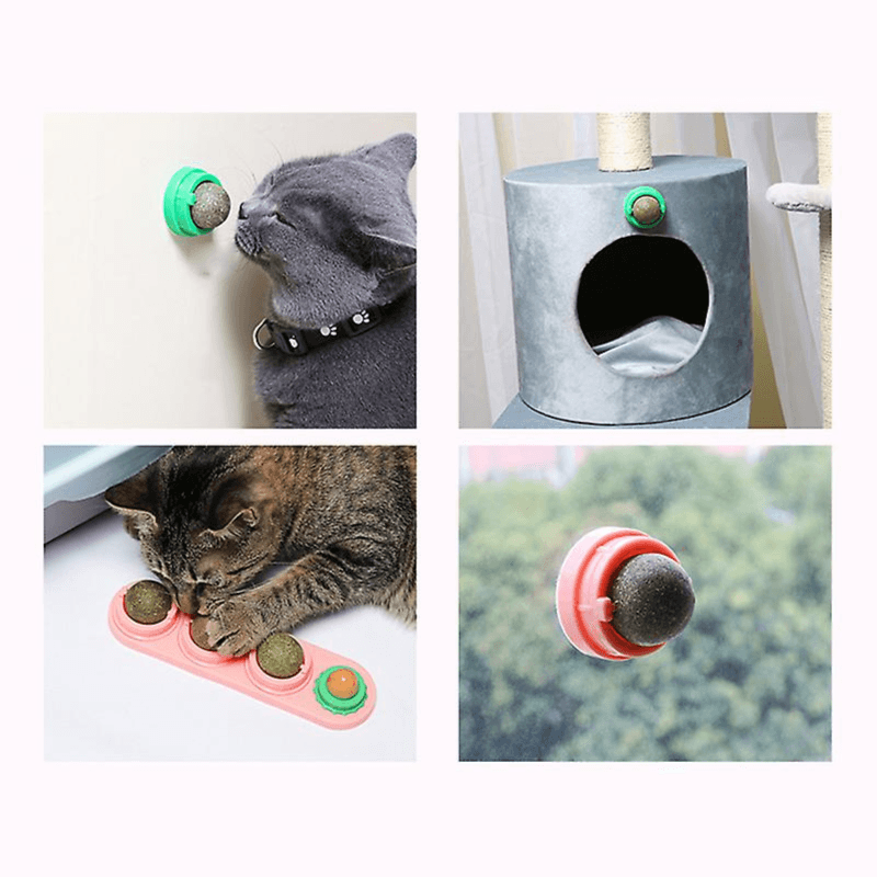 Catnip Ball for Cats